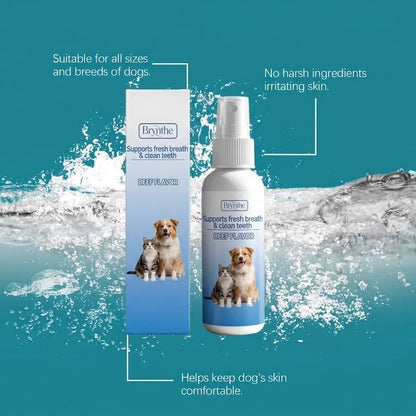 Supports fresh breath & clean teeth 🦷⚡